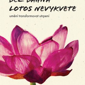 Bez bahna lotos nevykvete: umění transformovat utrpení