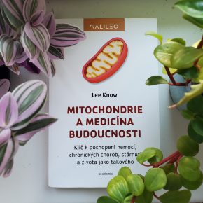 Mitochondrie a medicína budoucnosti